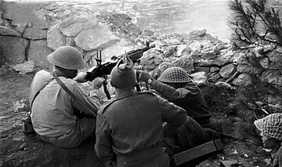 以色列战争最新动态,日常小故事中的温情与陪伴