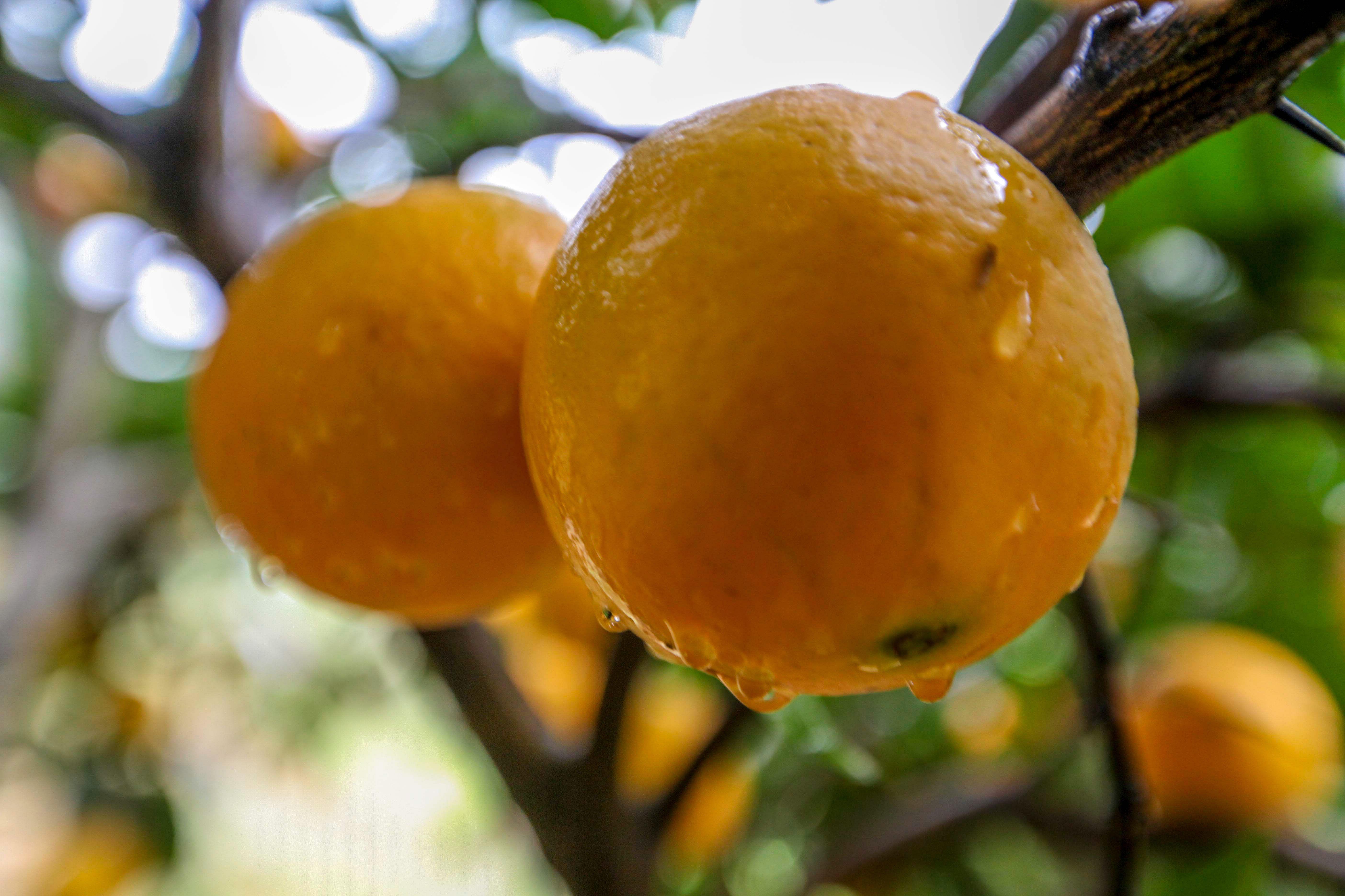 新橙时代,学习变化,自信成就梦想之路