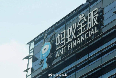 蚂蚁集团暂缓上市深度解析与未来展望,最新动态及影响探讨