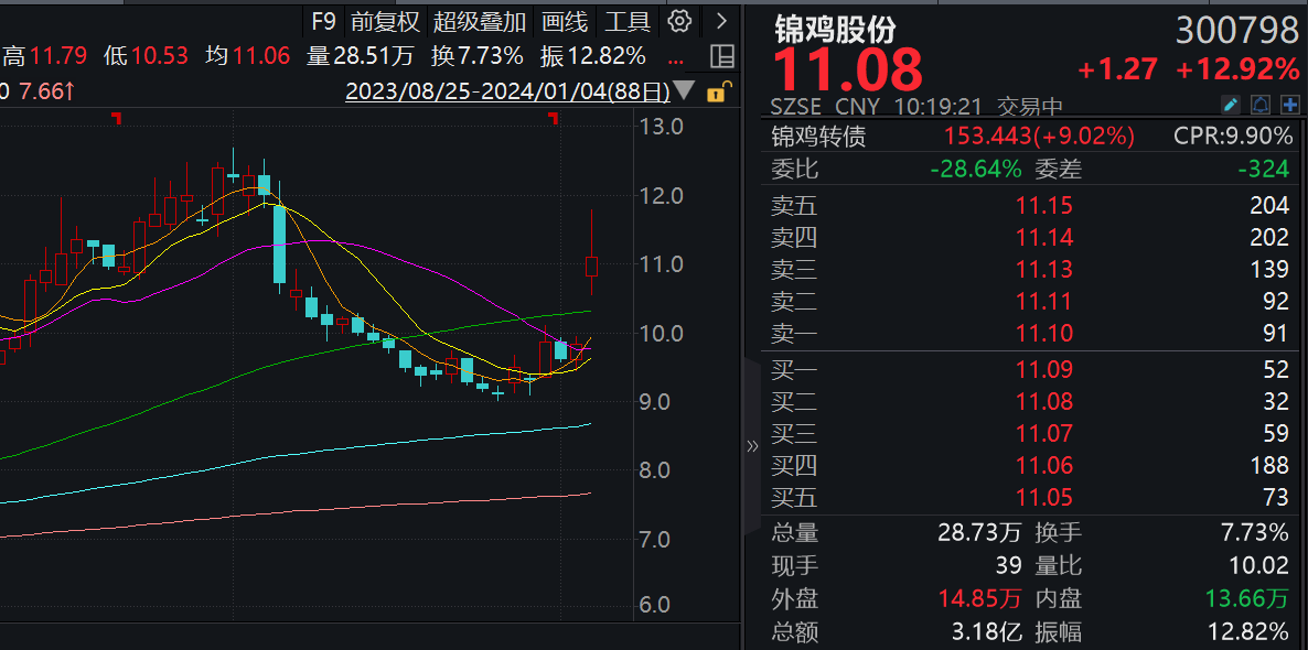 锦鸡股份最新股东概况及深度解析