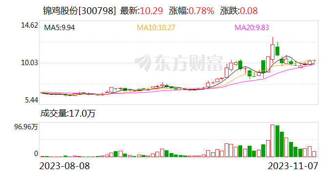 锦鸡股份最新股东概况及深度解析