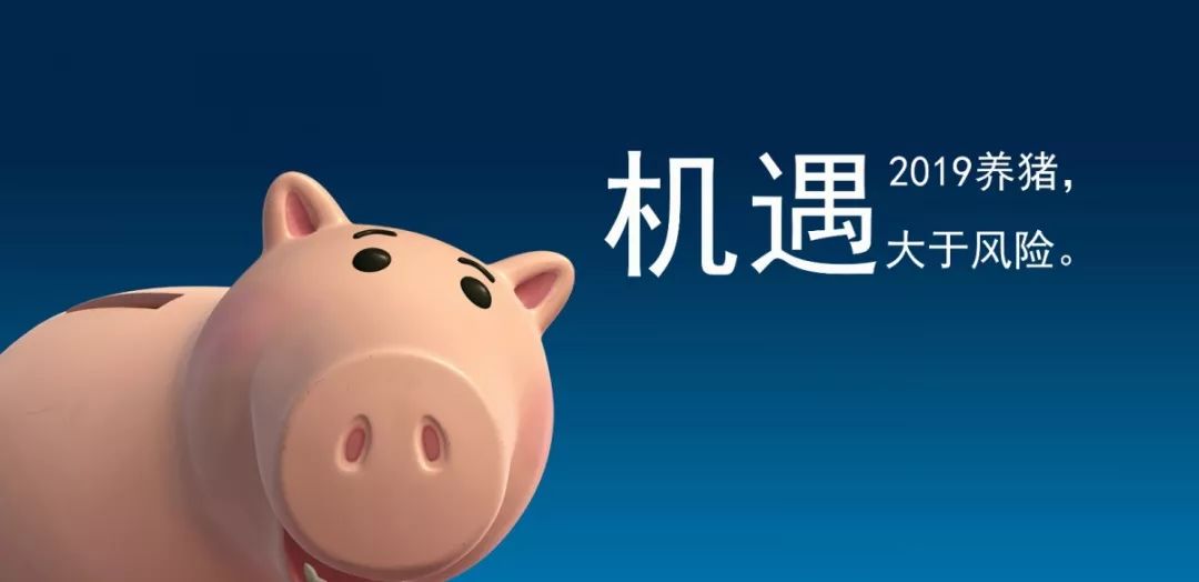 最新猪价上涨趋势,背景、事件、影响与时代地位分析