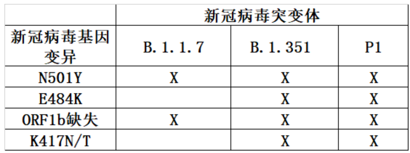 科技前沿助力智能守护,新灌病毒最新数据报告揭示新力量