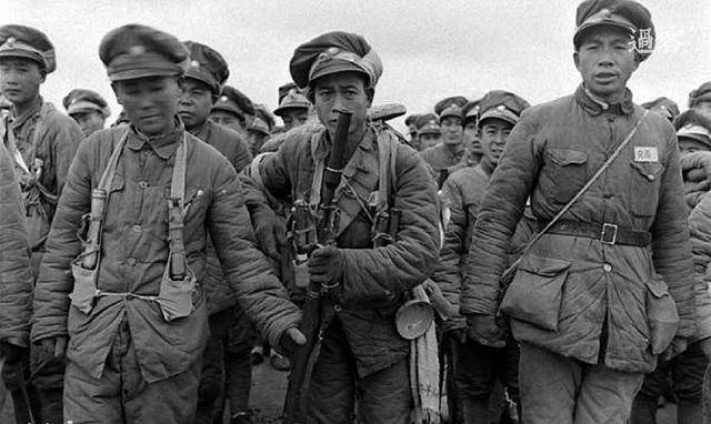 战犯演员表揭秘,友情与陪伴的温馨日常