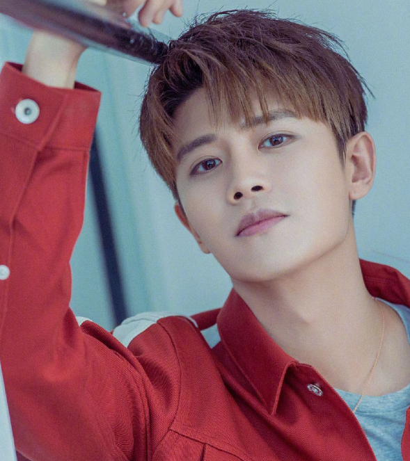 明星任的温馨日常,友情、爱与陪伴的力量